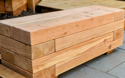 English Larch: What are the benefits for a Sheffield garden?